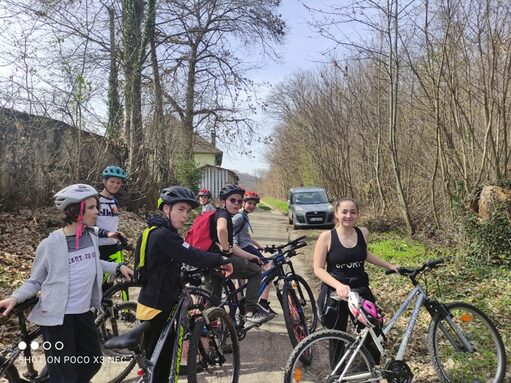 vtt pressins