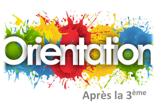 orientation après la 3ème.png